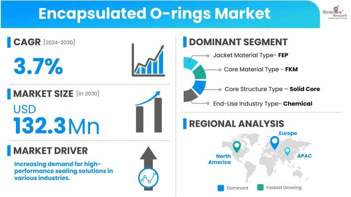 Encapsulated-O-rings-Market-Insights